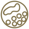 Efamol bioavailable icon