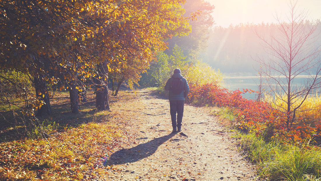 Healthy habits to look after your brain- Part 1 - Walking