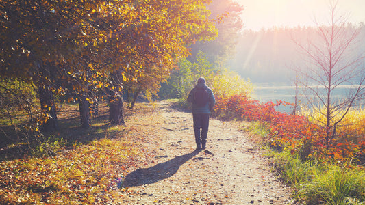Healthy habits to look after your brain- Part 1 - Walking