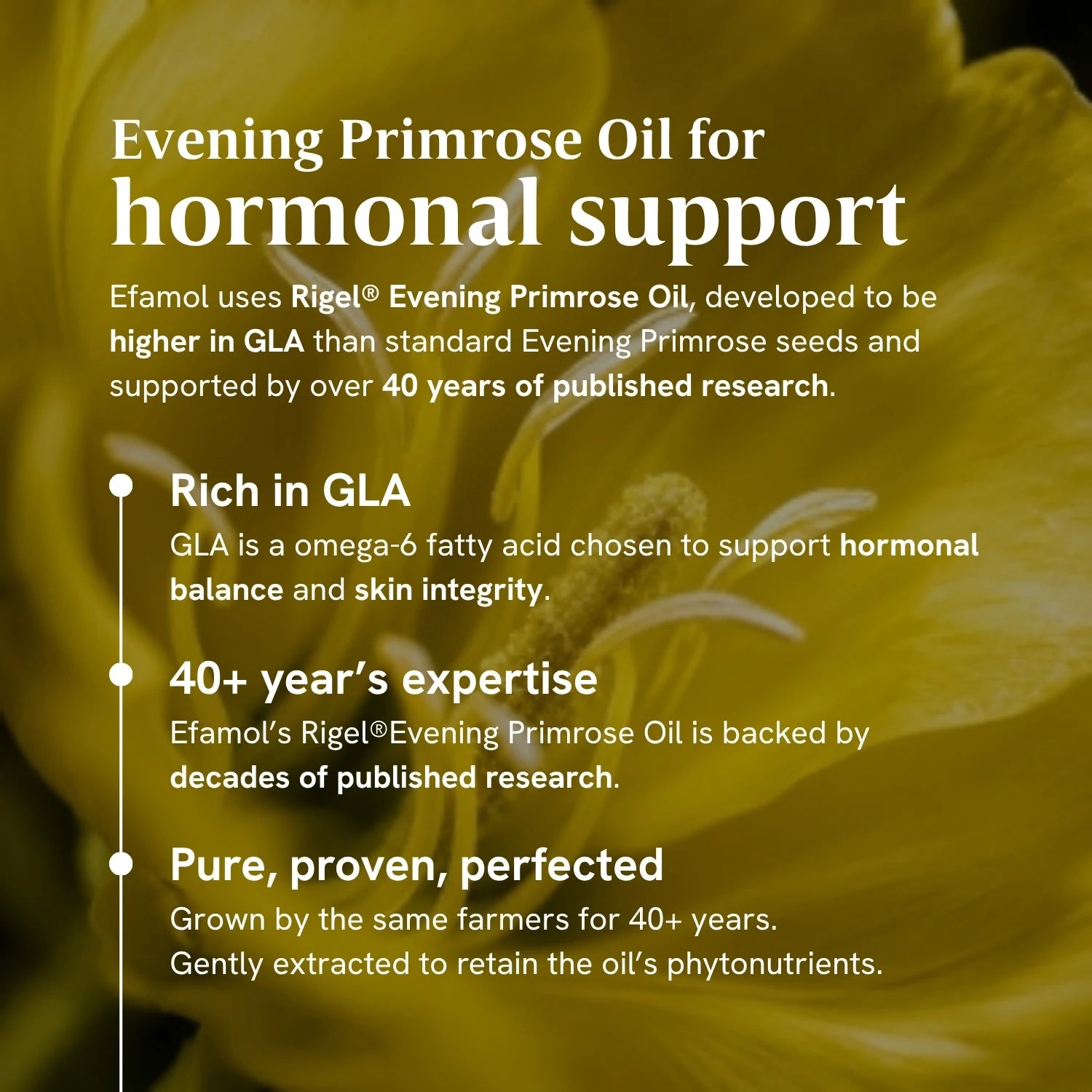 Image of evening primrose flower with graphic saying evening primrose oil for hormone support