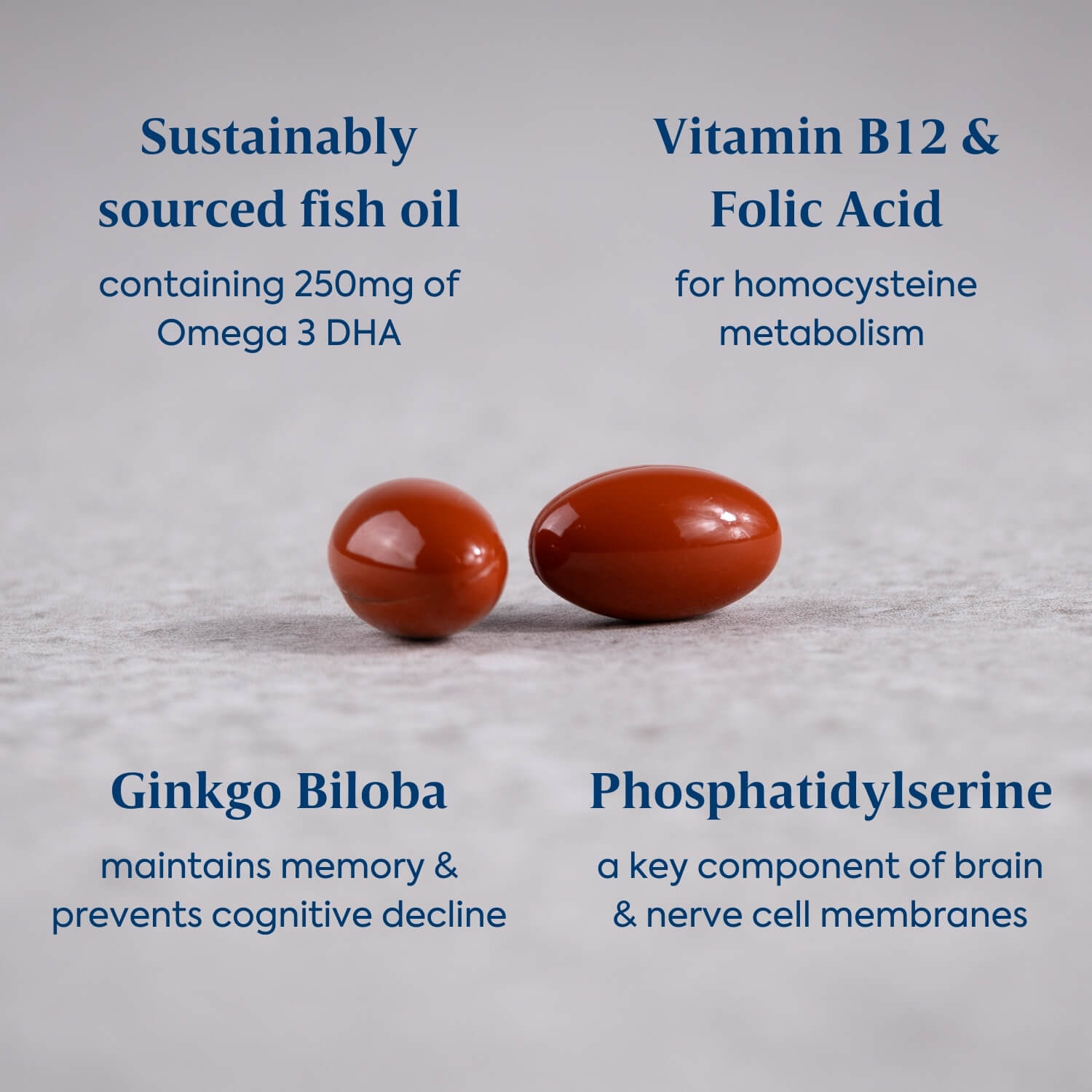 Efamol Active Memory capsules - with fish oil, vitamin b12 and folic acid, ginkgo biloba and phosphatidylserine