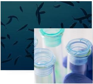 Efamo clinical research with Simon Dyall