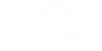 Top Sante Logo